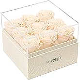 Rosaura Square Preserved Roses Gift Box - Real Forever Flowers in Clear Acrylic Lid, Valentine's for Women (Champagne, 9 Roses)