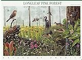 2002 LONGLEAF PINE FOREST (#3611) Souvenir Sheet of 10 x 34 cents US Postage Stamps