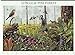 2002 LONGLEAF PINE FOREST (#3611) Souvenir Sheet of 10 x 34 cents US Postage Stamps