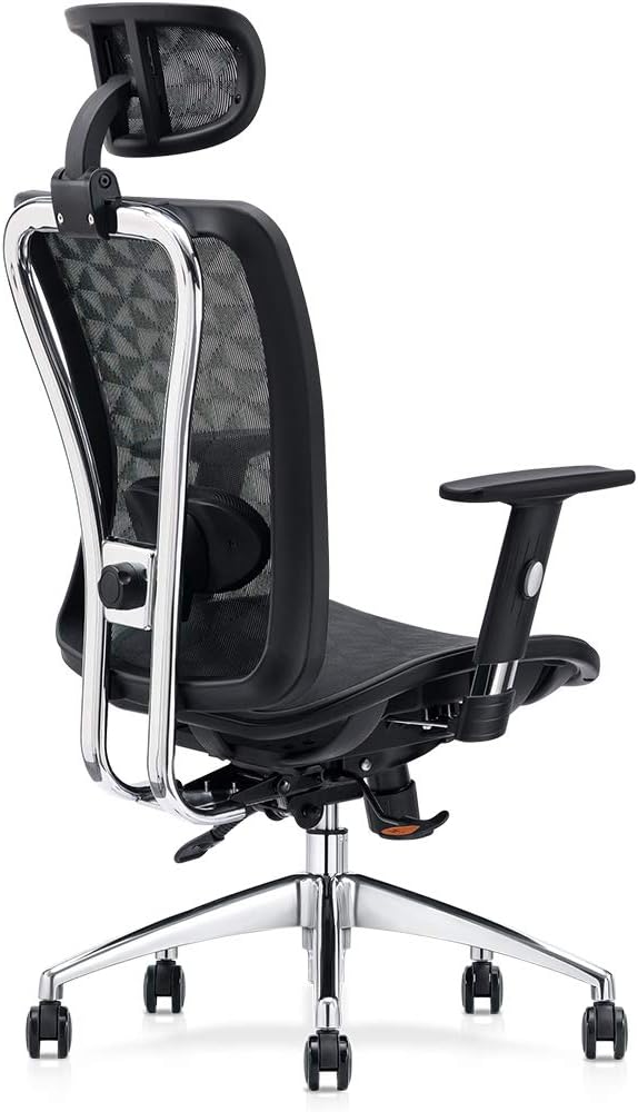 Cedric Ergonomic Mesh Office Chair, High Back Desk Chair with