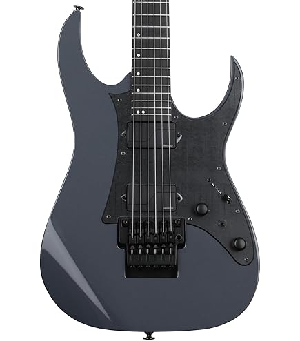 Amazon.com: Ibanez Prestige RG5120M Electric Guitar - Polar Lights