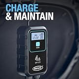 Ring SmartCharge 4A Car Charger Maintainer with Crocodile Clips view 8