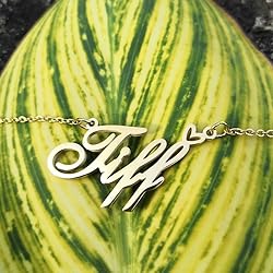 AQGS Kaitlin Custom Name Necklace Customized