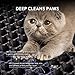 WePet Cat Litter Mat, Kitty Litter Trapping Mat, Large Size, Honeycomb Double Layer, No Phthalate, Urine Waterproof, Easy Clean, Scratch Scatter Control, Catcher Box Pads Rug Carpet 30x25 Inch Grey
