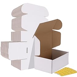 HORLIMER 9x6x4 Shipping Boxes Set of 30, White