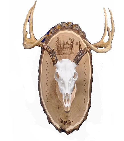 European Deer Mount Plaque - 15.75x9.45 Inch Wood Skull Hanger With Picture Frame For Hunting Trophies