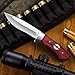 Grand Way Hunting Survival Fixed Blade Knife - Bushcraft Knife with Wood Handle for Hiking and Fishing - Good for Camping and Travels - Dependable Bowie Knife for Defense FL 168140
