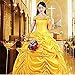 HalloweenCostumeParty Beauty and Beast Belle Costume Dress For Adults Woman(XXL)