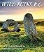 Wild Ruins B.C.: The Explorer's Guide to Britain's Ancient Sites by 