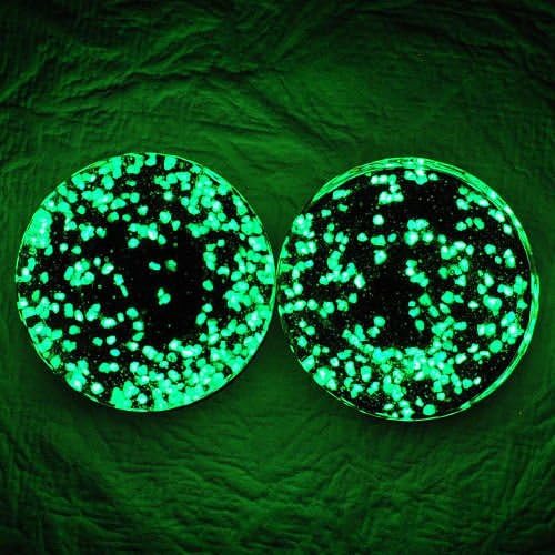 Glow in the Dark Single Flare Glass Plugs Ear Gauges 22mm 7/8" Set 53