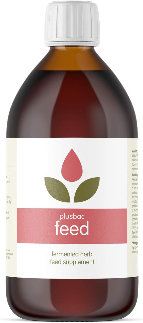 Plusbac Feed 1 Litre, Fermented Herb Feed Supplement - for Horses All Pets, Cats, Dogs, Chickens, Pigs, Cows, Poultry and Fish
