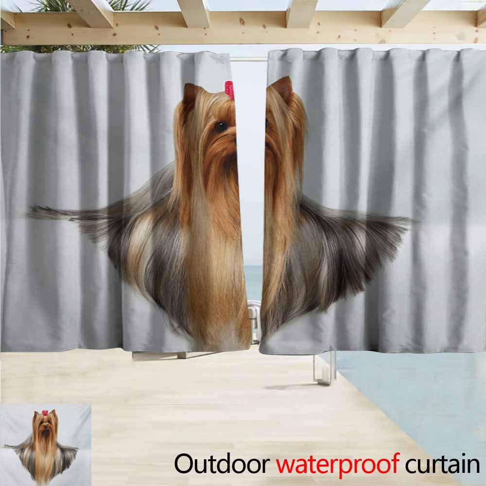 Amazon Com Andytours Darkening Curtains Yorkie Cute Photo Of