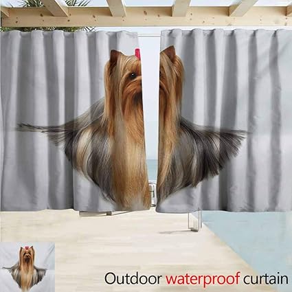 Amazon Com Andytours Darkening Curtains Yorkie Cute Photo Of