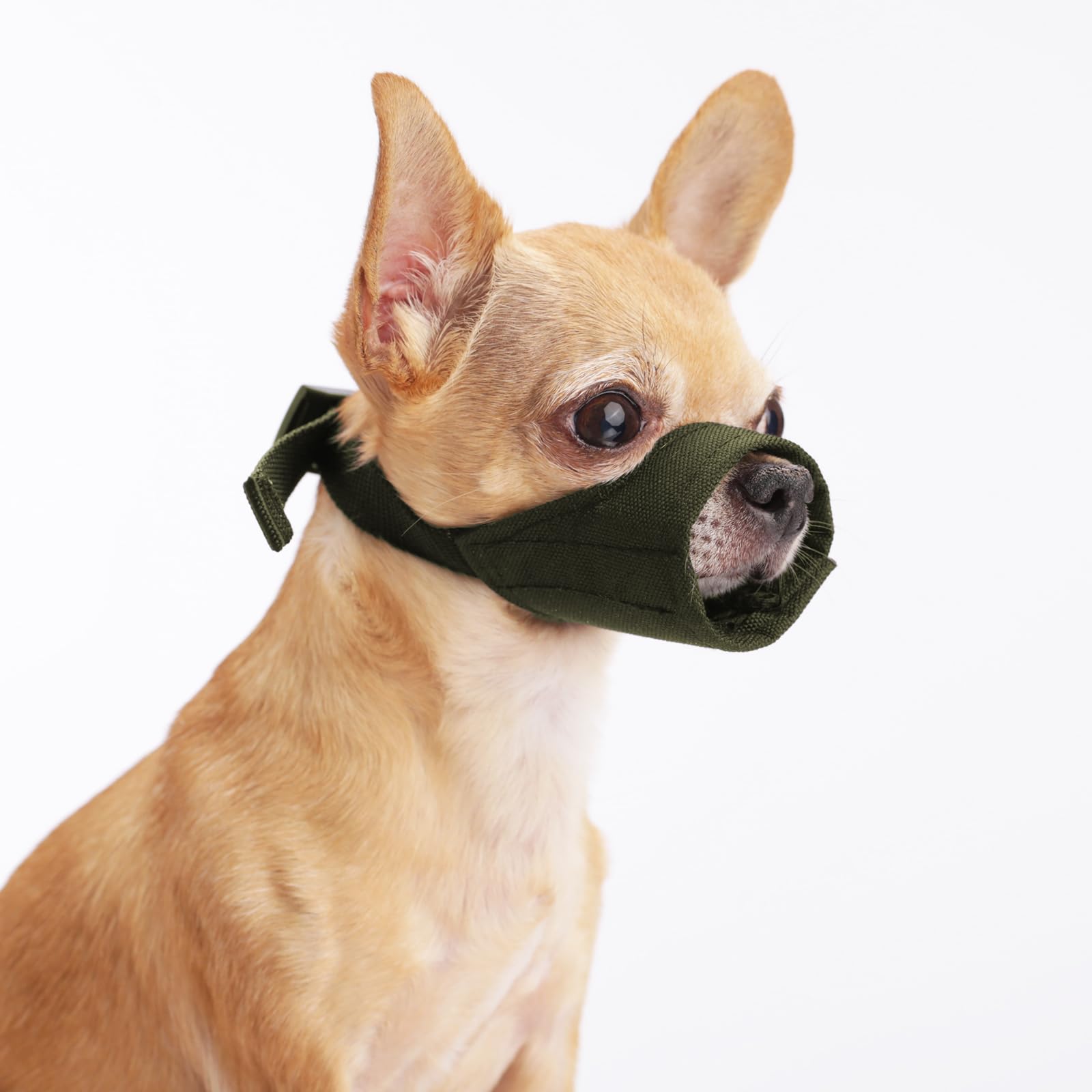 HYHIOTS Dog Muzzle for Small Dog, Short Snout Muzzles for Chihuahua Shih Tzu American Bully Boxer Puppy, Soft Anti Bark and Biting Muzzle for Medium Dogs for Grooming (Army Green, M)