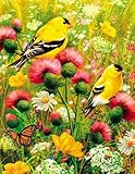 Goldfinch 350 Piece Jigsaw Puzzle
