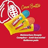 Carmex Minis Scented Lip Balms Pack 3 x 5 g SPF 15 Wild Berry Cupcake Tropical view 4