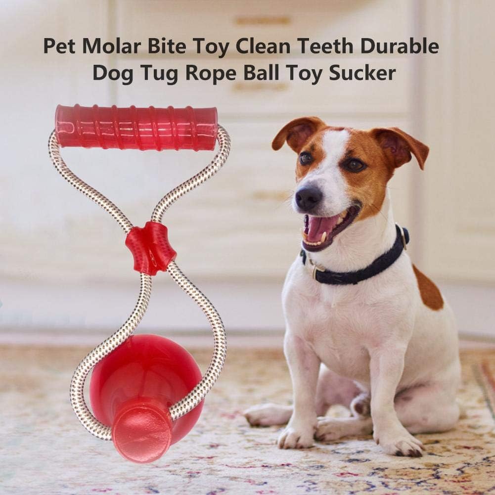 juguete ventosa para perros