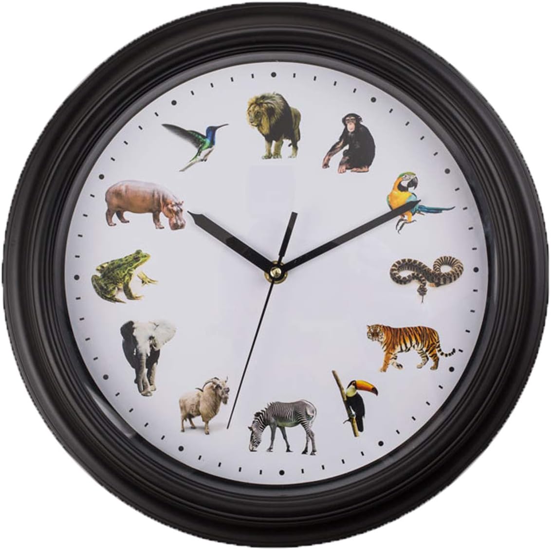Bada Bing Wanduhr mit Tierstimmen Tierstimmenuhr Uhr mit Zootieren ...