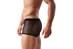 Evankin Men's Underwear Sexy Mesh Breathable Boxer Briefs Low Rise Cool Valentines Boxers Pack Set