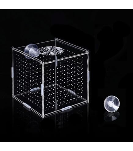 Acclimation Box For Aquarium Acclimation Breeder Box For Aquarium - Fish,  Anemone & Quarantine Tank | All Water Types Acclimation Breeder Box (fish  Anemone And Quarantine Fish
