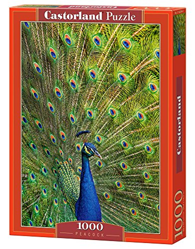 Peacock Jigsaw Puzzle