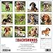 Dachshunds 2017 Wall Calendar