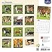 Basenjis 2017 Wall Calendar