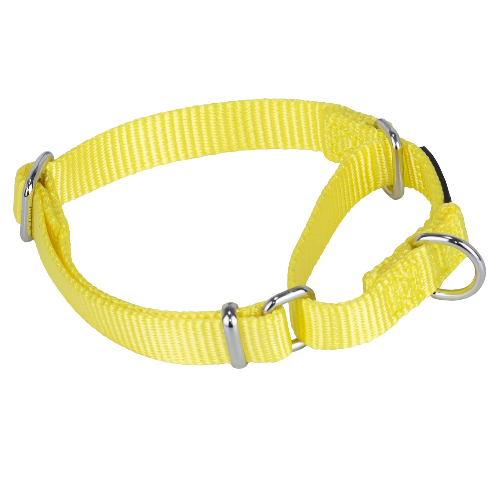 Hyhug Heavy Duty Nylon Anti - Escape Martingale Dog Collar for Large Medium Small Boy and Girl Dogs - Walking Training Daily Use. (Small, Illuminating Yellow)