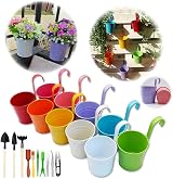 GIOVARA Hanging Plant Pot Set Metal Flower Pots with Detachable Hook 17x10cm