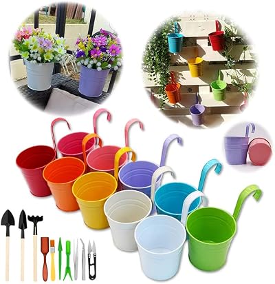 GIOVARA Hanging Plant Pot Set Metal Flower Pots with Detachable Hook 17x10cm