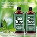 Sulfate free anti dandruff Tea-Tree-Oil Shampoo and Conditioner Set – Made with Therapeutic Grade Tea Tree Essential Oil - Deep Cleansing for Dandruff, Dry Scalp & Itchy Hair – Men & Women 2x16oz …
