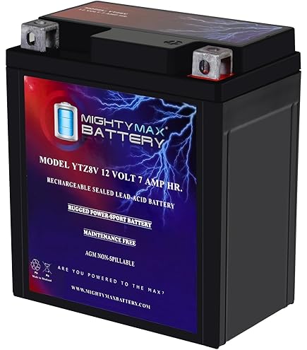 Amazon.com: Yuasa YUAM728ZV YTZ8V Factory Activated YTZ High