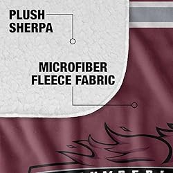 Cumberland University Phoenix Primary Logo Stripes