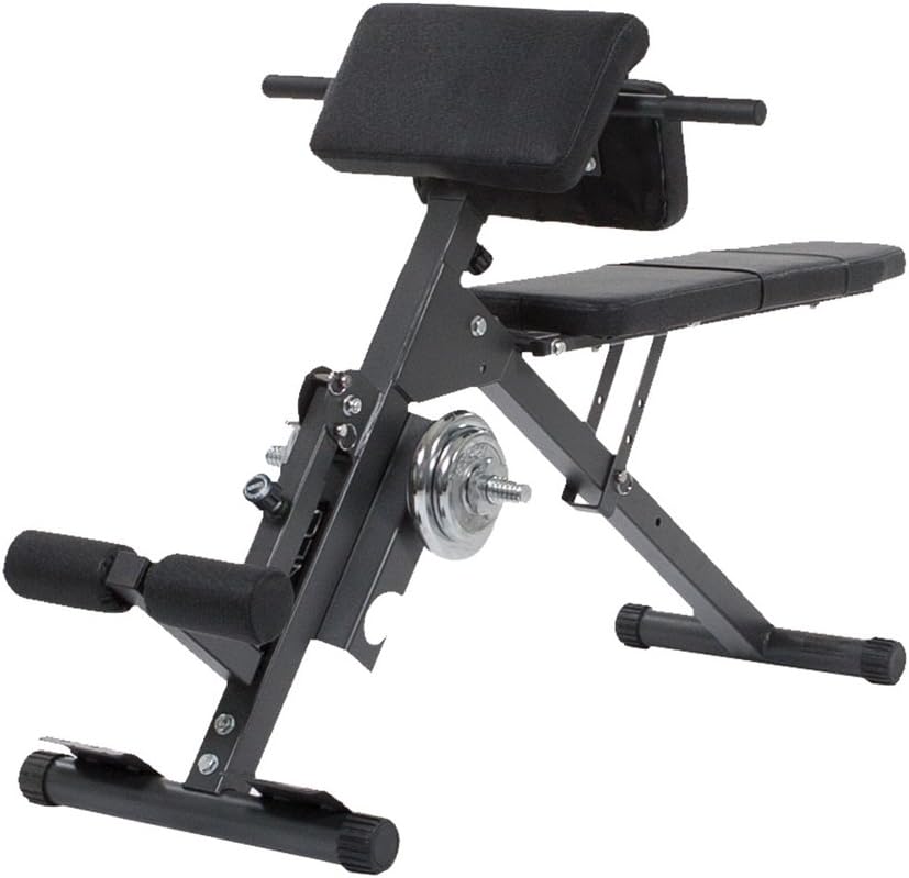 Finnlo 3864 Abs and Back Trainer
