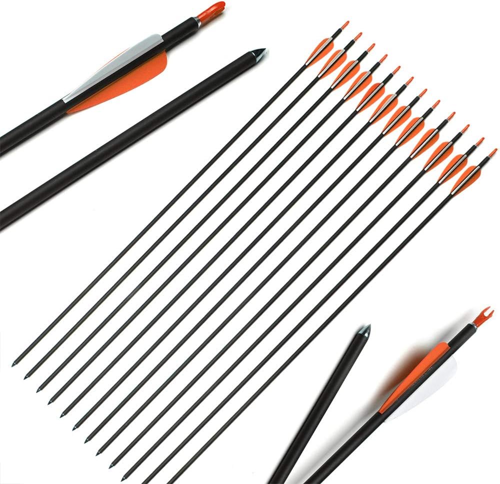 ANTISR 30" Carbon Arrows OD.275 with Interpolated Tips and Anti-Nail Nock for Compound & Recurve Bow(Pack of 12) : Sports & Outdoors