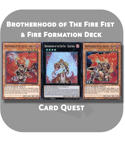 Amazon.com: Complete Custom Deck for Yu-Gi-Oh!