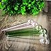 Glass Oil Burner,6 Pack glass,4.7 Inch Length