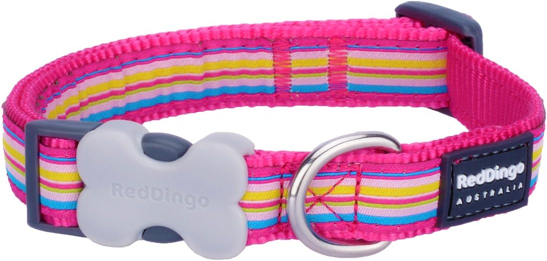 red dingo puppy collar