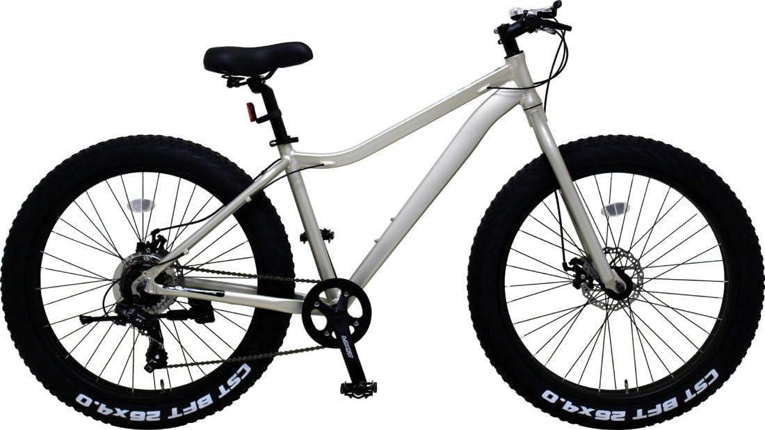 dainichi 自転車