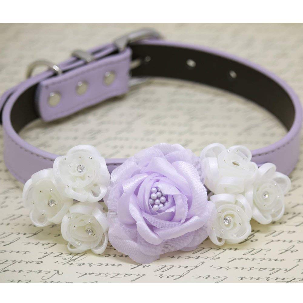 lilac leather dog collar