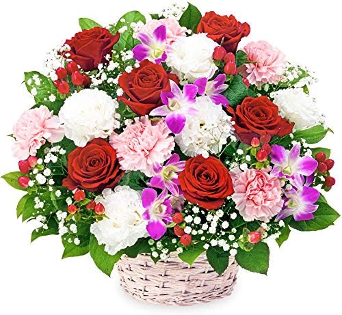 お祝い 赤バラとデンファレのアレンジメント Yc00 花キューピット 記念日 プレゼント 数量限定 生花 祝花 妻 彼女 開業 彼氏 母親 夫 父親 開店 友達