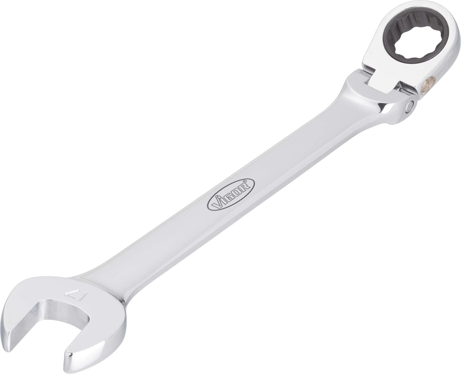 Vigor V2817 Ratcheting Combination Wrench, 25 cm