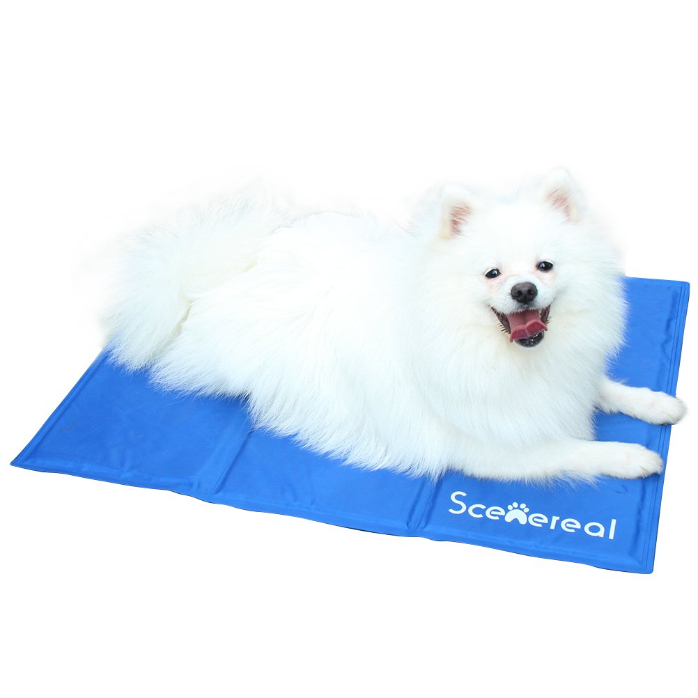 Scenereal Tappetino Refrigerante Per Cani E Gatti Saile