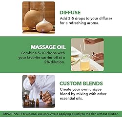 Majestic Pure Tea Tree Essential Oil with Glass