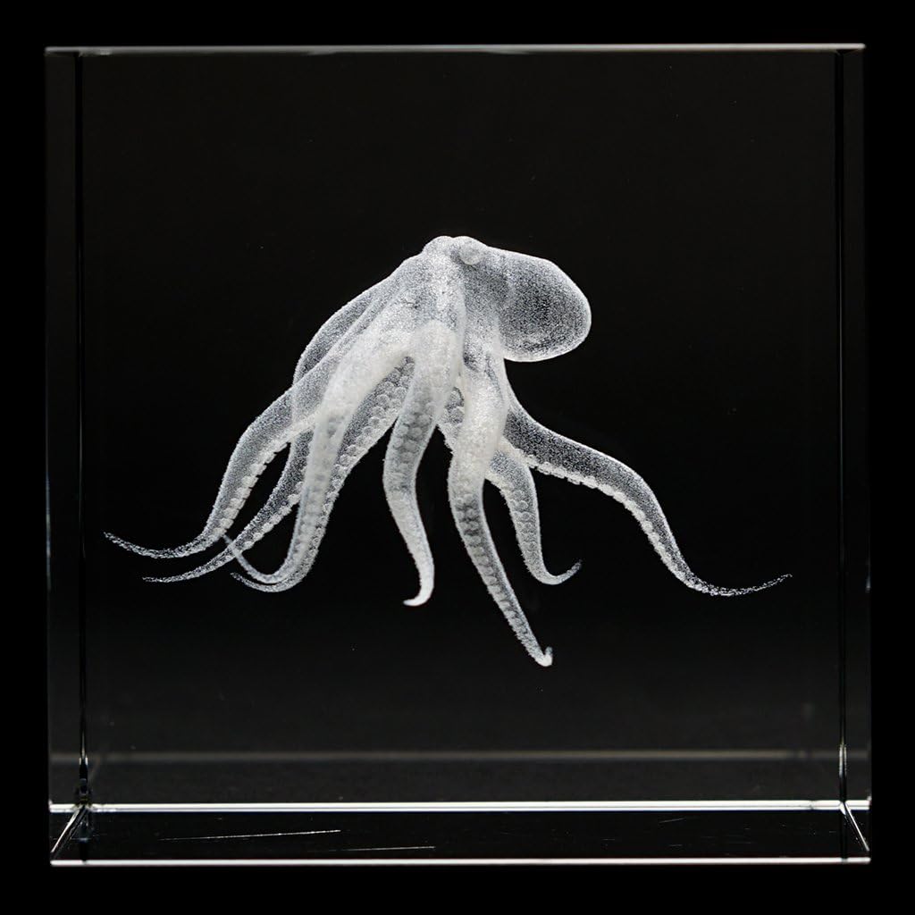 Dynasty Gallery Octopus Crystal Cube