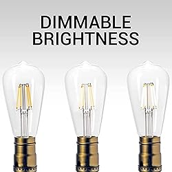 Basics Hardware LED Edison Light Bulbs - Dimmable