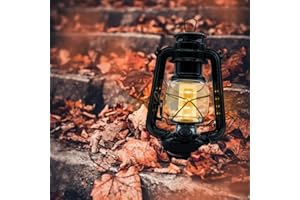 YAKii LED Vintage Lantern Metal Hanging Hurricane 12 LED Dimmer Switch Warm White Battery Operated Power Outage Indoor Camping Lighting Outdoor Brooklyn Decoration(Black)