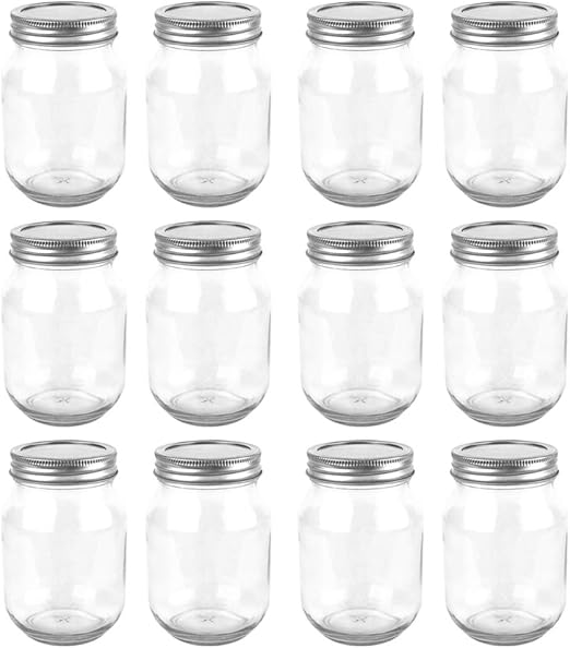 Amazon Com 12 Pack 16oz Glass Mason Jars With Silver Regular Lids