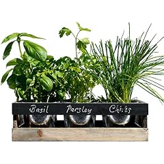 Amazon.es: Recipientes para plantas y accesorios: Jardín ...
