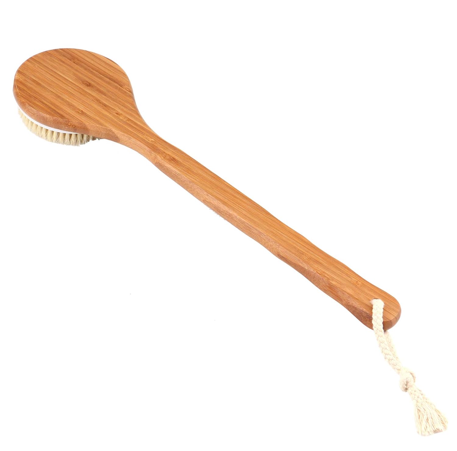 Body Brush with Long Bamboo Handle - Natural Bristle, Back Scrubber for Exfoliating Skin, Improve Circulation and Shower Brush for Skin Health - Wet or Dry body Brushing by THETIS Homes : Beauty